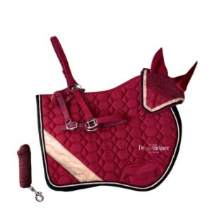 CONJUNTO Nº20 SALTO/U-G