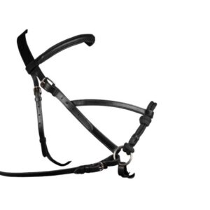 CABEZADA MONTAR S/BOCADO