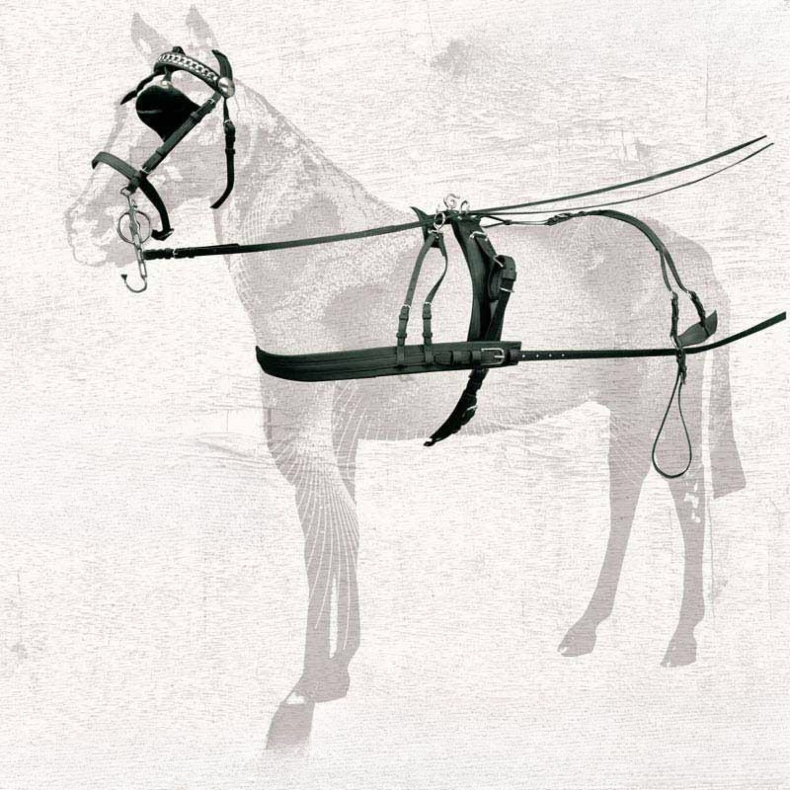 ENGANCHE PECHOPETRAL BIOTANE/INOX SENCILLO